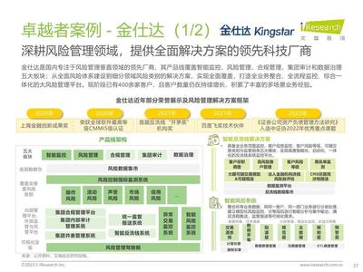 2023年中國資本市場風險管理IT服務(wù)市場研究報告 風險管理咨詢服務(wù)篇